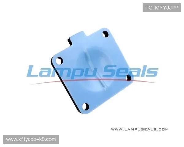 详细解析k8凯发中国官方网站的支付方式与提款流程，确保资金安全快速到账