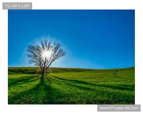 凯发旗舰厅app积极响应国家政策，推动绿色健康线上娱乐环境建设