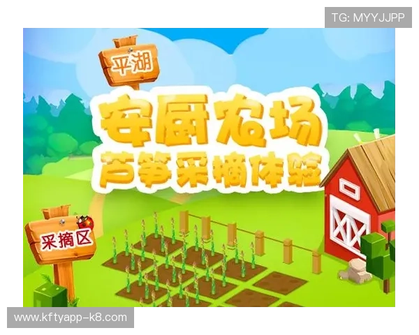 爱游戏体育官方登录页面优化，提升用户体验确保账号安全与赛事观看无障碍