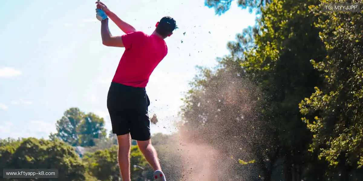 一站式博彩导航网:收录全网信誉平台,为您的博彩之路护航